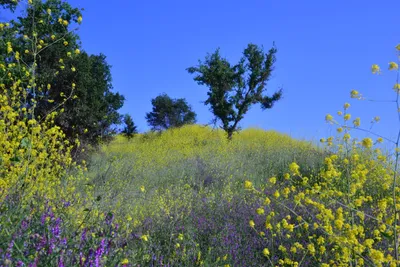 DSC_6147 (Large).JPG